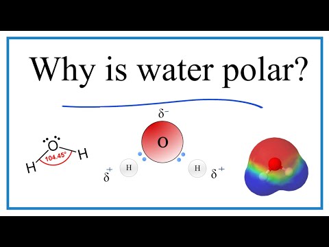 Why is water (H2O) a polar molecule?