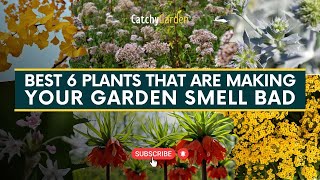 BEST 6 Plants That Are Making Your Garden Smell Bad 🥀🌷 // Gardening Tips