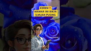 Fakta Tentang Bunga Mawar Biru Yang Mungkin Belum Kalian Ketahui
