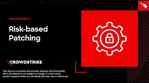 Falcon for IT: Risk-based Patching