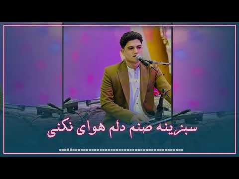 مجتبی استالفی آهنگ جدید سبزینه صنم دلم هوای نکنی