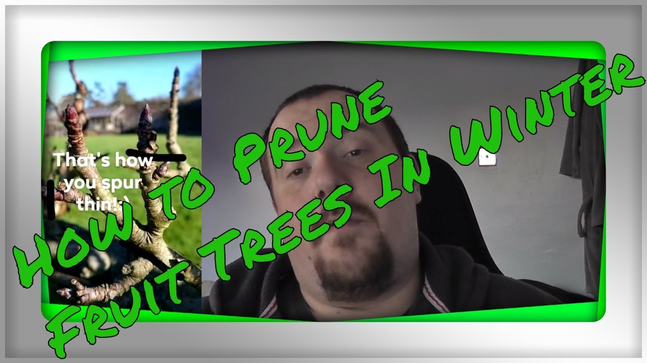 Bitesize: How To Prune your Winter Fruit Trees - YouTube