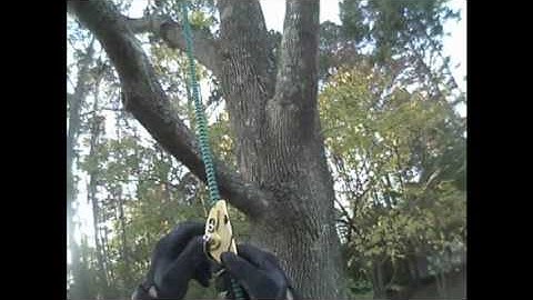 Rappelling on PI with the Cinch