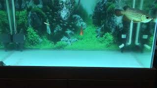 IMG 0487