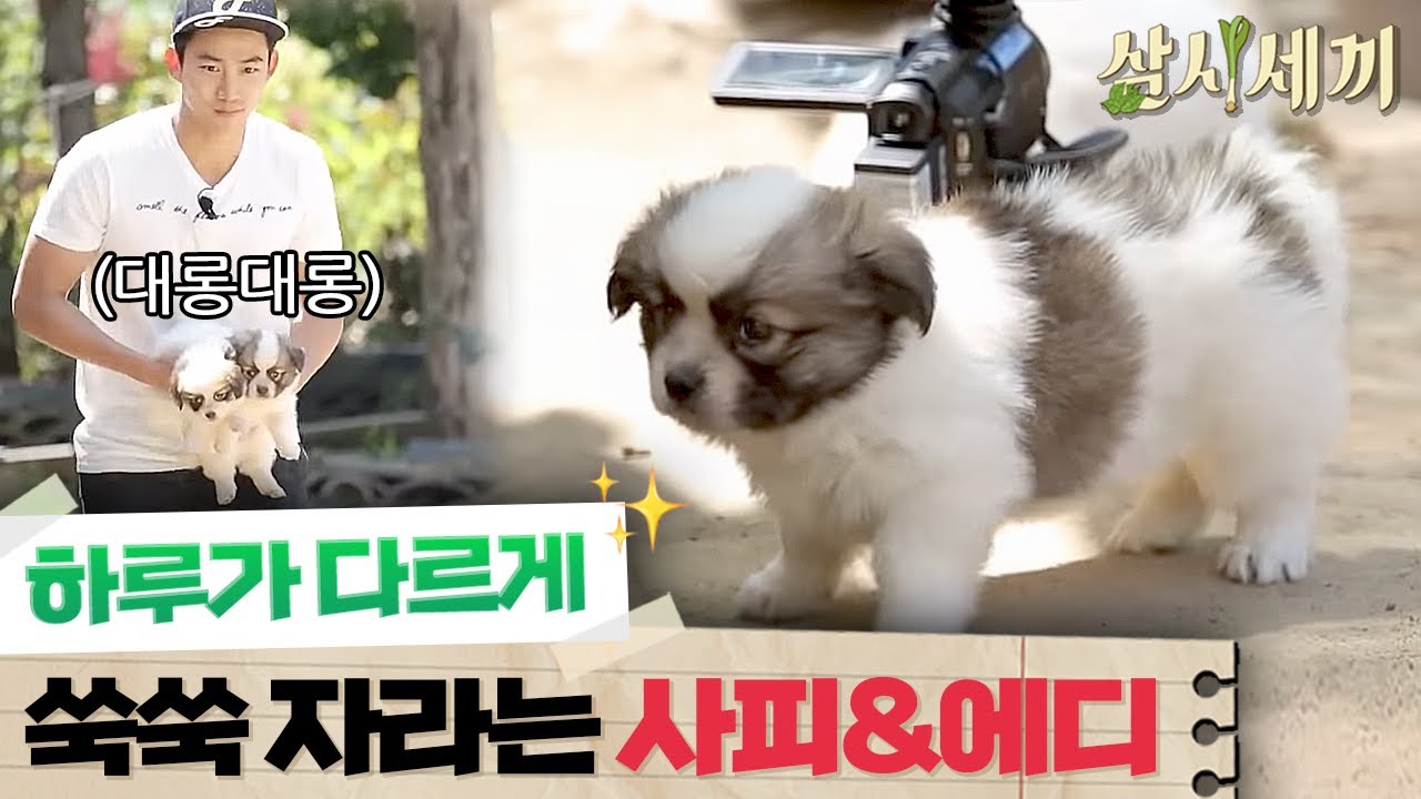 韓国旅行 三食ごはんep16 パク シネ オク テギョン 2人の特別なケミで 16週連続同時間帯視聴率1位 旅行のプロ元caによる韓国旅行とソウル旅行ブログ ソウルのおしゃれ