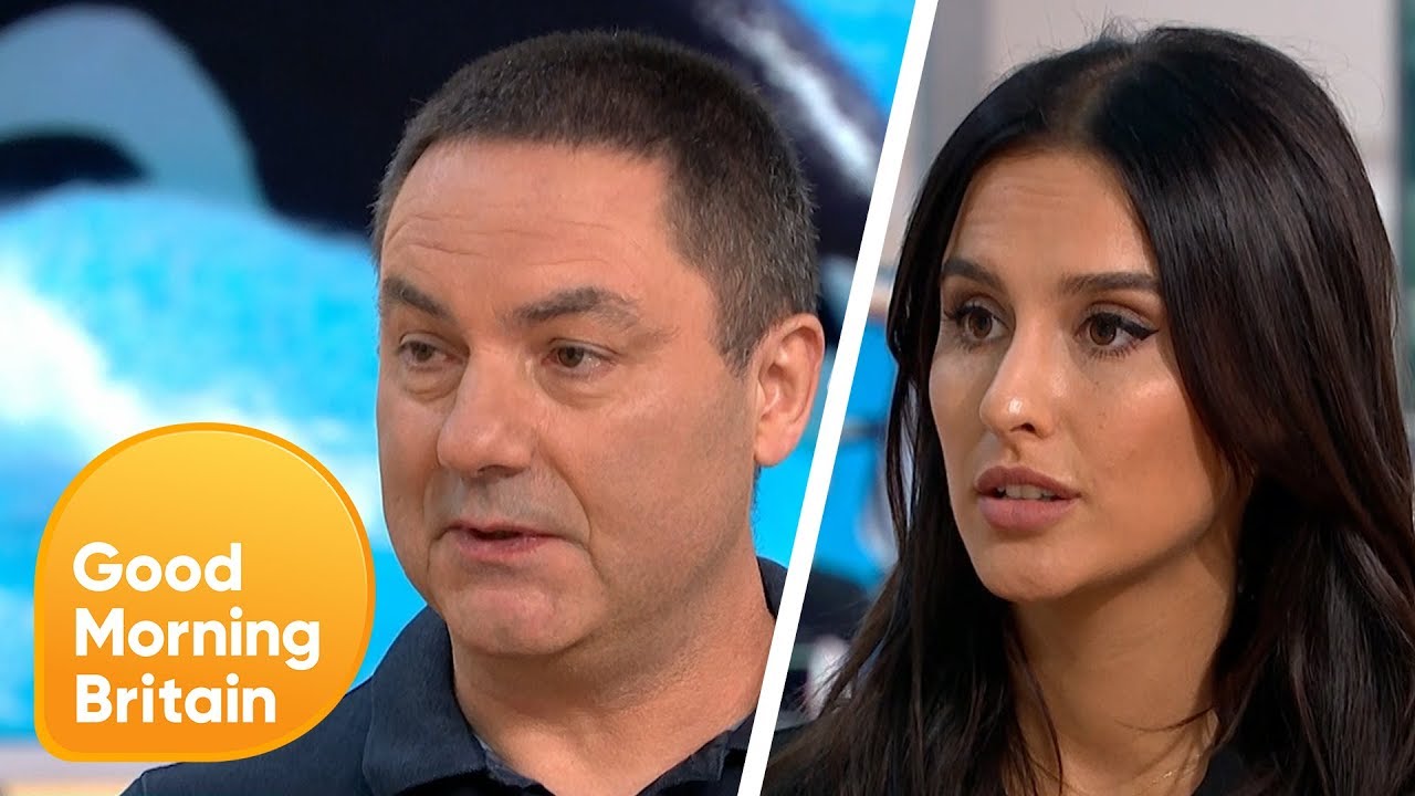 breakfast show today Is It Time to Boycott Animal Parks? | Good Morning Britain