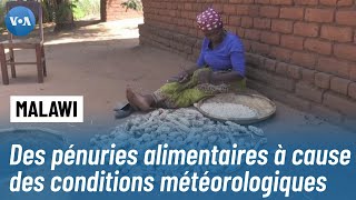 Crise alimentaire au Malawi : Le Programme alimentaire mondial appelle à l'aide