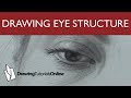 How To Draw The Structure Of The Eye