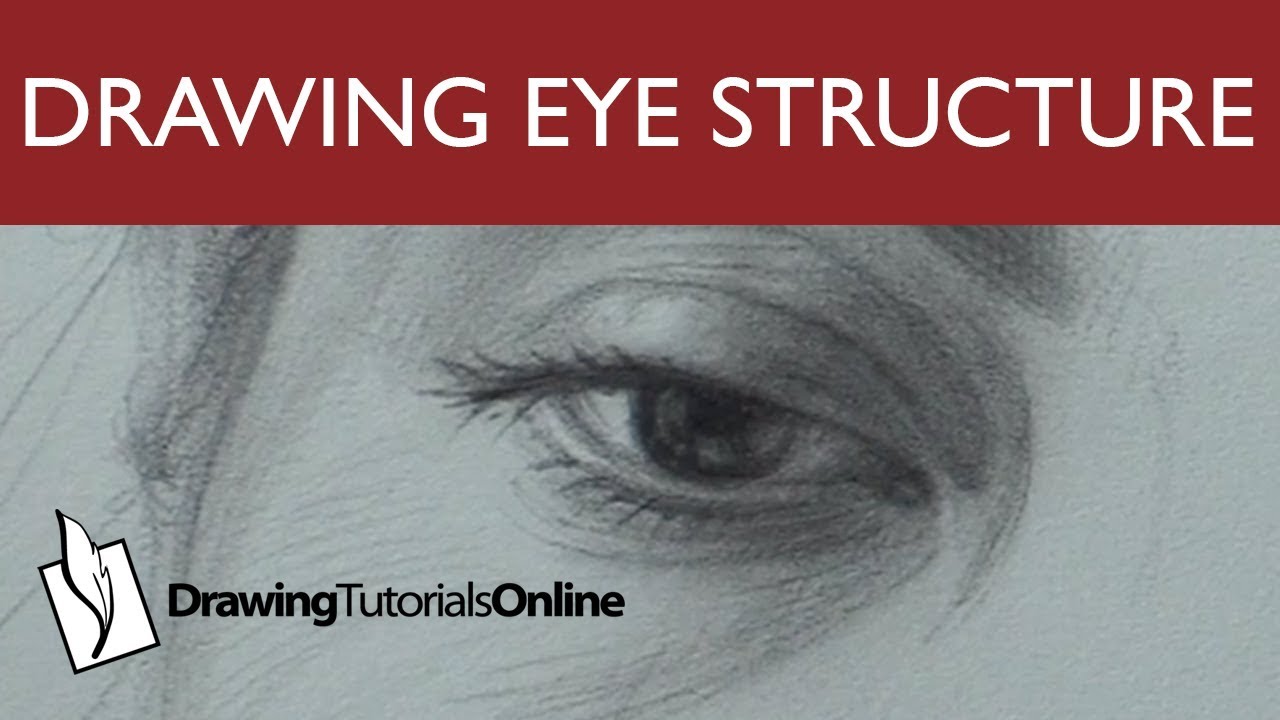 How To Draw The Eye  Drawing Tutorials Online Blog