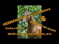 MEJOR JEFE DE RAZA - NACIONAL 2019 HERMANO SOL? o AARÓN FC. #trochaygalope #shortsvideo #horse