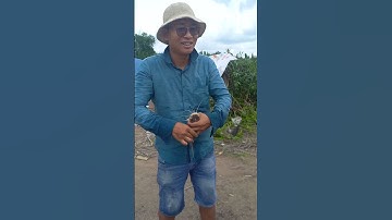 Câu cá út An Thới Đông - Cần giờ#fishing