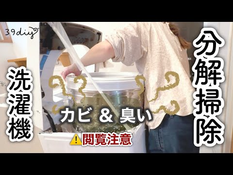 洗濯機掃除】6年分のヤバい汚れに本気で挑む！分解なしでもできる簡単