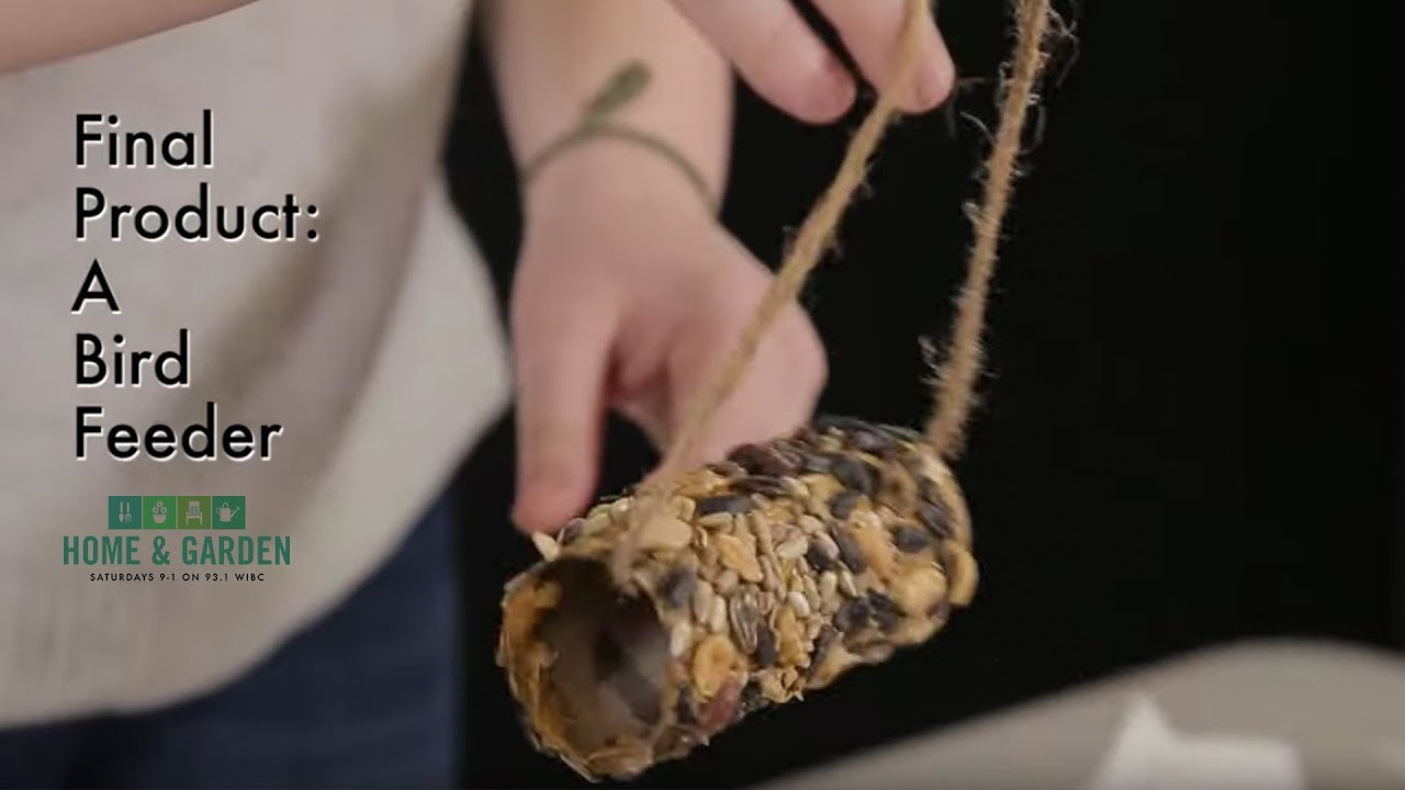 Turn A Toilet Paper Roll Into A Bird Feeder | Home & Garden