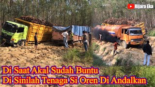 Di Saat Akal Sudah Buntu Di Situlah Tenaga Si Oren Sangat Di Andalkan