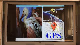 1- Bilimsel Bilginin Doğası Ve Biyoloji - Yaşam Bilimi Biyoloji - 9. Sınıf Yeni Müfredat