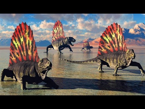 Video: Dinozor Kepeği, Kuşların Tarih Öncesi Evrimine İlişkin İçgörü Sağlıyor