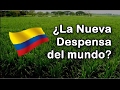 La Sorprendente Transformacion de Colombia a Traves del Agro | Documental