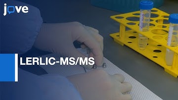 LERLIC-MS/MS to Quantify Glutamine and Asparagine Deamidation | Protocol Preview