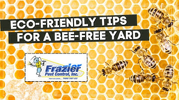How to Keep Bees Out of Your Yard | Frazier Pest Control