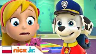 Psi Patrol Marshall Jest Sam W Domu? Nick Jr.