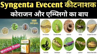 Syngenta Evecent कीटनाशक । Evecent Insecticide । Hindi । Syngenta Evecent  insecticide । Evecent