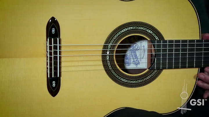 Amalia Ramirez - Guitarra de Tablao