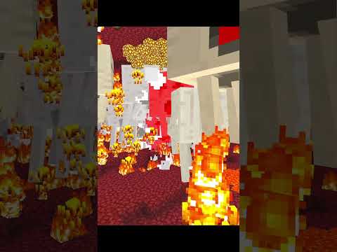 The Power Of Zombie Pig In The Nether In Minecraft Ep.3 #aranko #minecraft #minecraftfunny