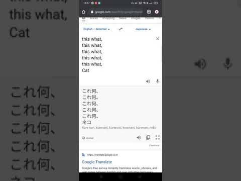 Kore Nani NEKO | Google Translate | English