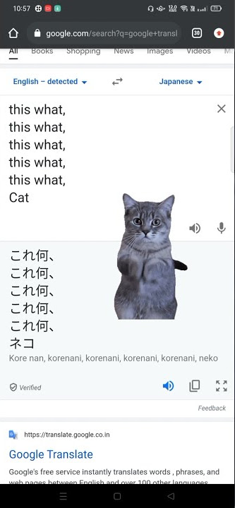 Kore Nani NEKO | Google Translate | English