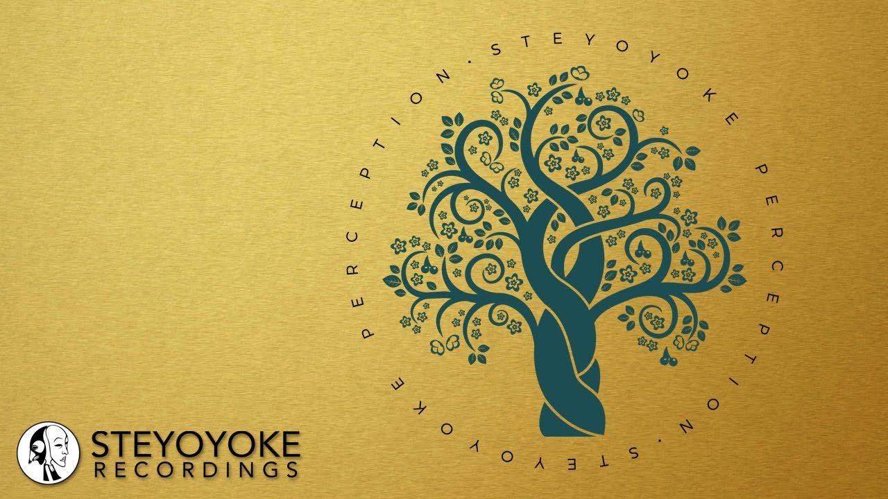 Sascha Sonido - The Next Level (Lexer Remix) | Steyoyoke