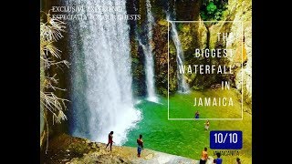 Reggae falls - the biggest Jamaican falls with JAMAJKANITA