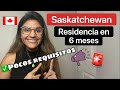 🚨Inmigra a Saskatchewan y consigue tu RESIDENCIA PERMANENTE en solo 6 meses | Inmigra fácil 🇨🇦