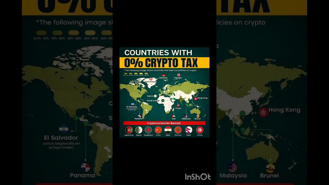 Countries with 0% crypto tax - YouTube
