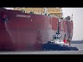8 very big vessels arrivals and departures at rotterdam port  4k shipspotting january 2024