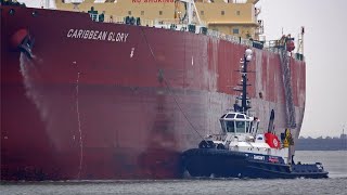 8 VERY BIG VESSELS ARRIVALS AND DEPARTURES AT ROTTERDAM PORT  4K SHIPSPOTTING JANUARY 2024