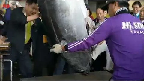 Taiwan's 2019 first bluefin tuna catch worth US$50,000 - DayDayNews