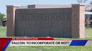 Falcon: To incorporate or not?