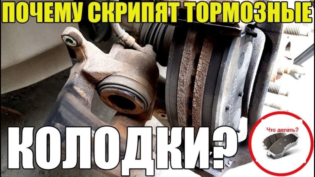Почему могут скрипеть колодки