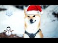 Let It Snow