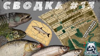 СВОДКА ПО ВОДОЁМАМ | ФАРМ СЕРЕБРА | ЁРШ | ЛОСОСЬ | ТАЙМЕНЬ | РАК | РЯПУШКА СИБИРСКАЯ | ЯЗЬ | КУТУМ