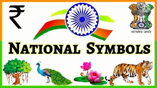 National Symbols l National Symbols of India for kids l राष्ट्रीय प्रतीक l #education #learning 