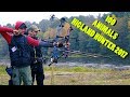 XI 3D Archery Marathon &quot;100 Animals | Highland Hunter&quot; 2017