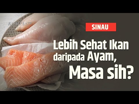 Ayam Ikan Telur Termasuk Jenis Makanan Yang Mengandung