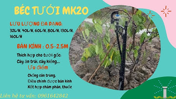 1 lần tưới cho hơn 2.000 cây Mai tại Tam Bình với béc tưới MK20 |Liên hệ: 0961642842