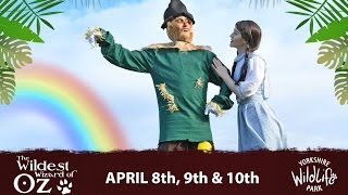 The Wildest Wizard of Oz - YWP Easter Event 2017