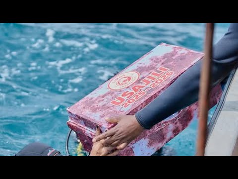 Simba Yalifuata Sanduku La Usajili Chini Ya Bahari 