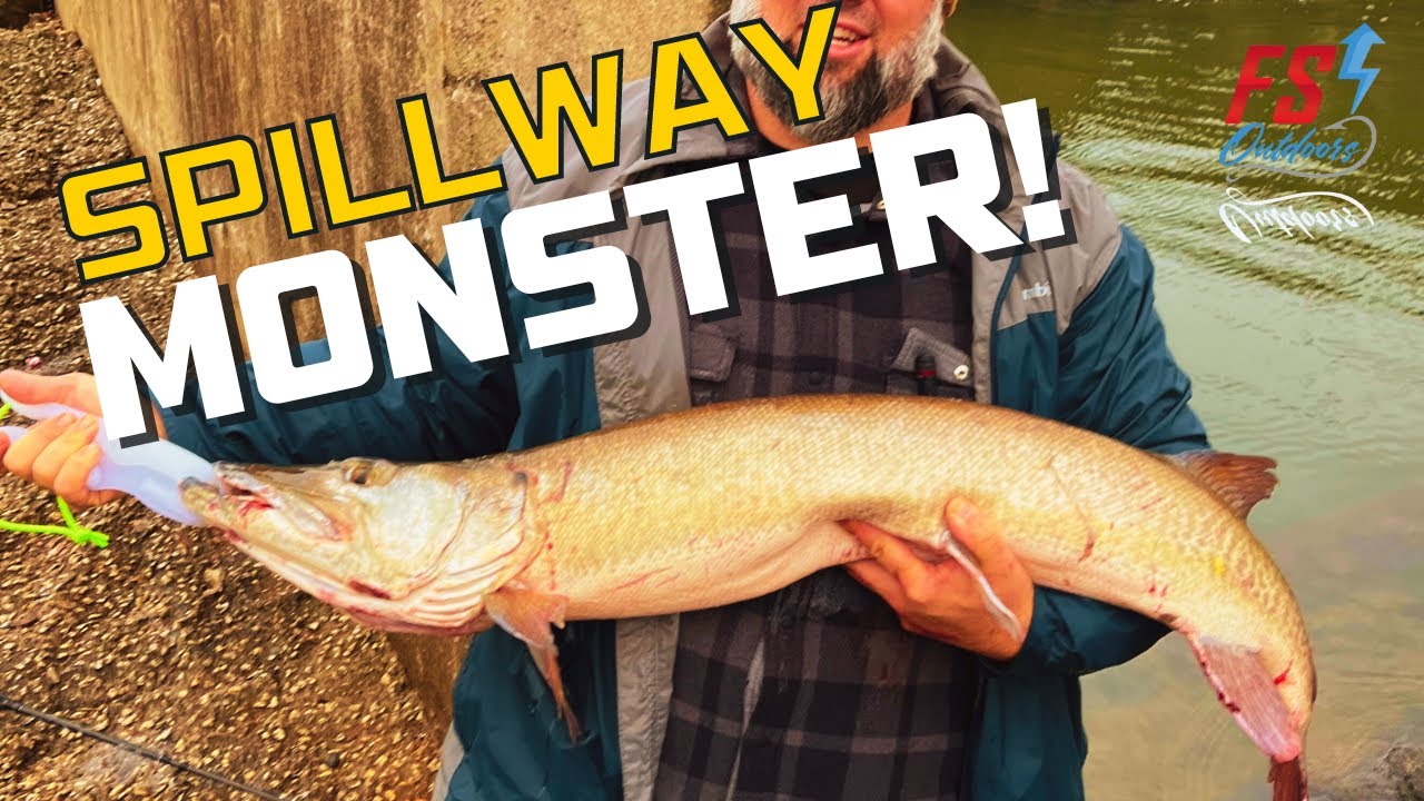 Big Fish In a Tiny Spillway! Live Bait Musky Fishing YouTube