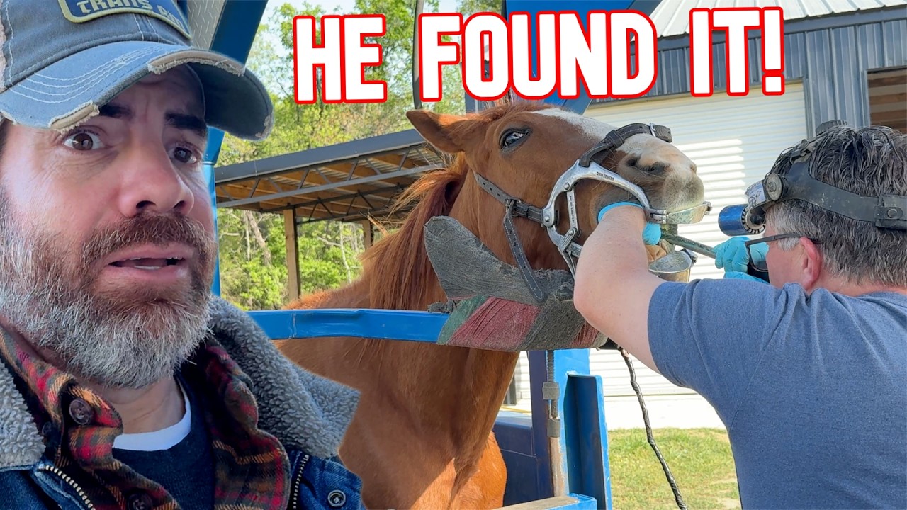 This Tiny Hidden Problem Was Causing Big Trouble! - YouTube