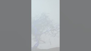 Unreal Engine 5, mysterious tree | #shorts