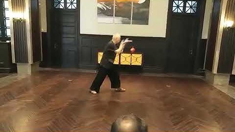 Bagua Zhang Kung Fu - Jiangstyle by Cai Hai Kuang